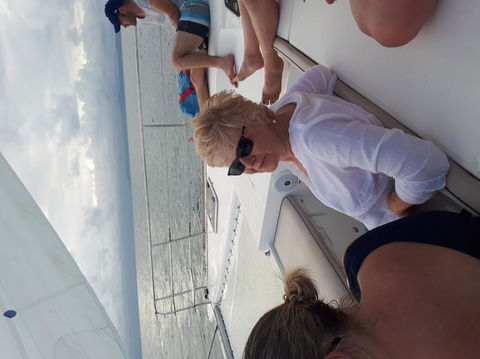 Afternoon Low Isles Snorkeling And Sailing Cruise From Port Douglas - Maitland Accommodation 5