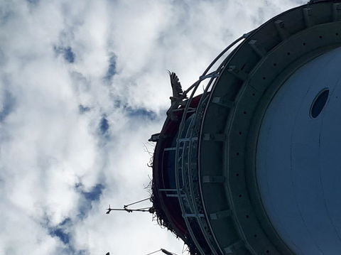 Afternoon Low Isles Snorkeling And Sailing Cruise From Port Douglas - Maitland Accommodation 3