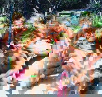 1770 CASTAWAY SURVIVOR 3 Day 2 Night Island Adventure Tour - Maitland Accommodation