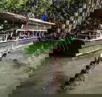 Hartley's Crocodile Adventures Day Trip from Palm Cove - Maitland Accommodation