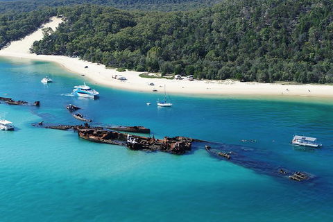 All Inclusive Dolphin And Tangalooma Wrecks Cruise Departing Gold Coast - Maitland Accommodation 0