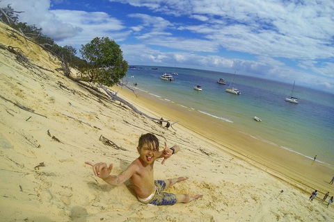 All Inclusive Dolphin And Tangalooma Wrecks Cruise Departing Gold Coast - Maitland Accommodation 8