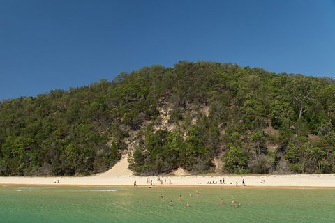 All Inclusive Dolphin And Tangalooma Wrecks Cruise Departing Gold Coast - Maitland Accommodation 3