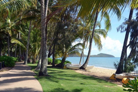 Palm Cove, Clifton Beach, Kewarra Beach To/from Cairns - Maitland Accommodation 0