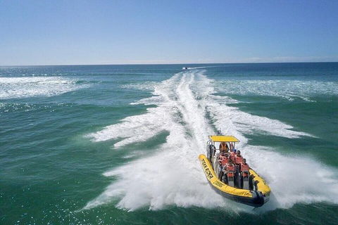 Noosa Oceanrider - Thrill Ride - Maitland Accommodation 2