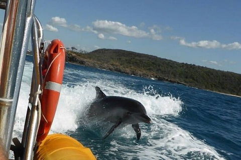 Noosa Oceanrider - Thrill Ride - Maitland Accommodation 4