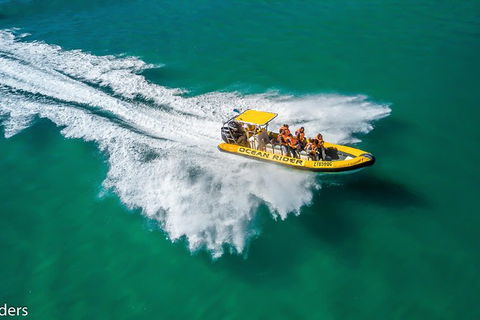 Noosa Oceanrider - Thrill Ride - Maitland Accommodation 3