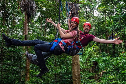 Daintree Atttractions Pass: The Best Of The Daintree In A Day - Maitland Accommodation 1