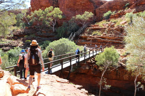 Kings Canyon Day Trip From Ayers Rock - Maitland Accommodation 19