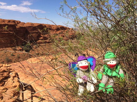 Kings Canyon Day Trip From Ayers Rock - Maitland Accommodation 23