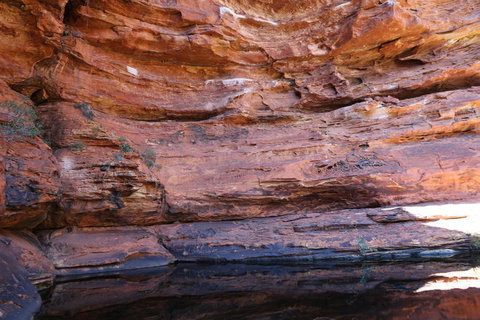 Kings Canyon Day Trip From Ayers Rock - Maitland Accommodation 16