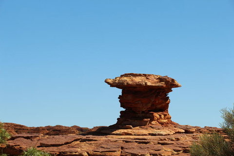 Kings Canyon Day Trip From Ayers Rock - Maitland Accommodation 17