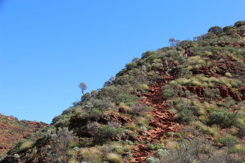 Kings Canyon Day Trip From Ayers Rock - Maitland Accommodation 21
