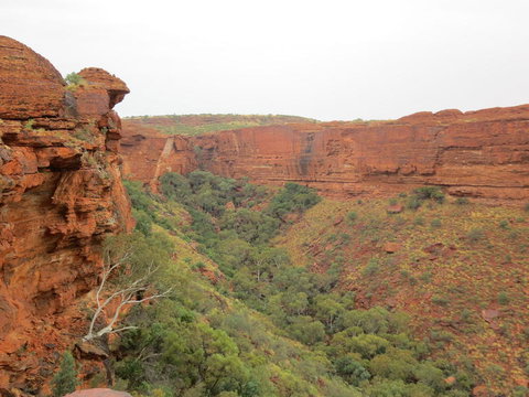 Kings Canyon Day Trip From Ayers Rock - Maitland Accommodation 13