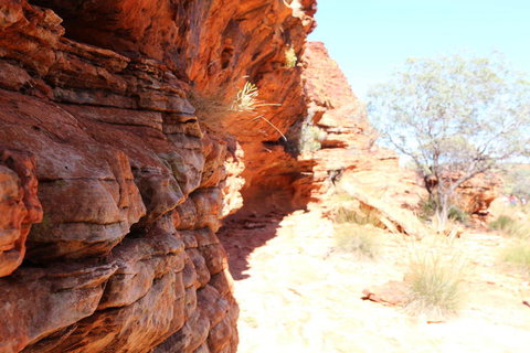Kings Canyon Day Trip From Ayers Rock - Maitland Accommodation 20