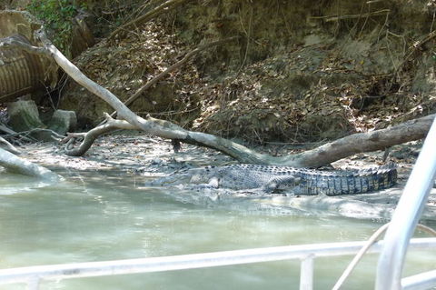Kakadu Full-Day Tour From Darwin With Lunch - Maitland Accommodation 2