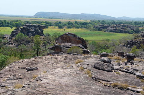 Kakadu Full-Day Tour From Darwin With Lunch - Maitland Accommodation 3