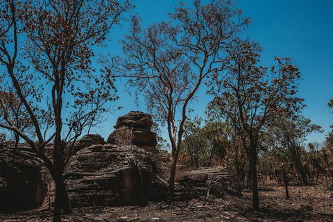 Kakadu Full-Day Tour From Darwin With Lunch - Maitland Accommodation 6