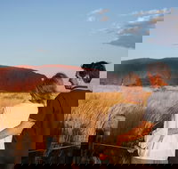 Uluru Ayers Rock Sunset with Outback Barbecue Dinner and Star Tour - Maitland Accommodation