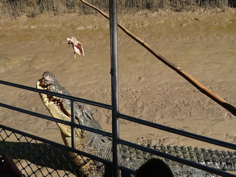 Litchfield And Jumping Crocodiles Full Day Trip From Darwin - Maitland Accommodation 5