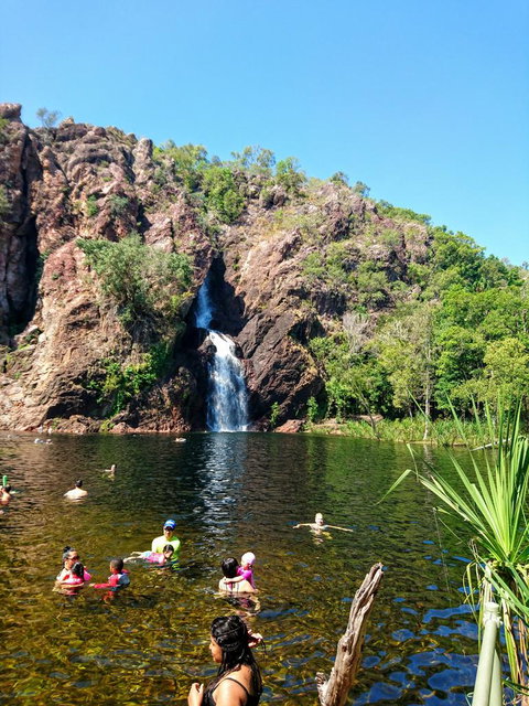 Litchfield And Jumping Crocodiles Full Day Trip From Darwin - Maitland Accommodation 3