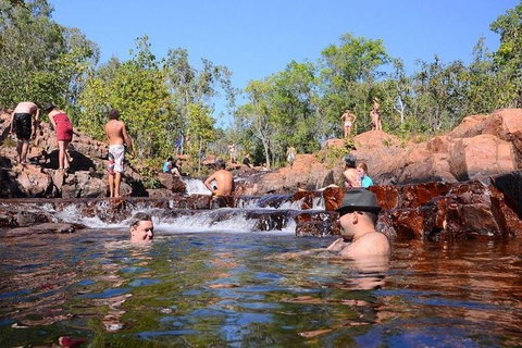 Litchfield And Jumping Crocodiles Full Day Trip From Darwin - Maitland Accommodation 0