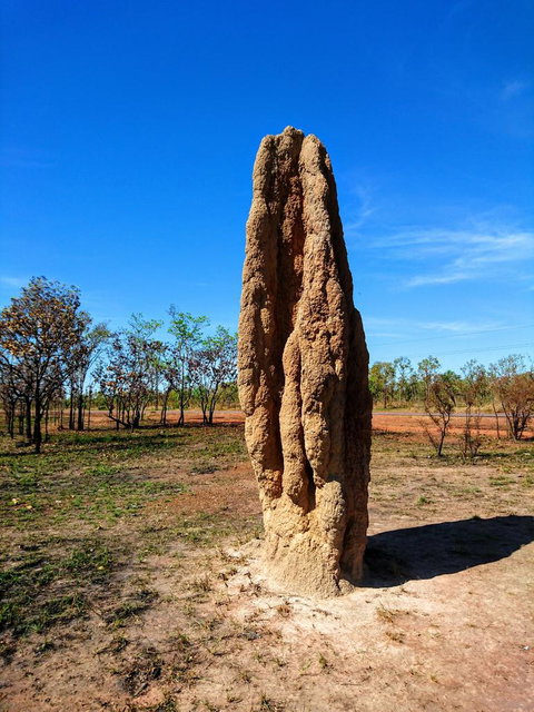 Litchfield And Jumping Crocodiles Full Day Trip From Darwin - Maitland Accommodation 4