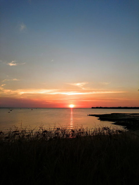 Litchfield And Jumping Crocodiles Full Day Trip From Darwin - Maitland Accommodation 2