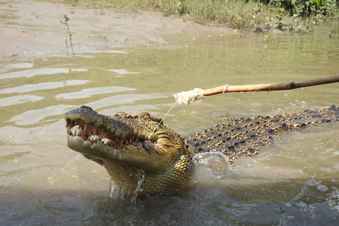 Litchfield And Jumping Crocodiles Full Day Trip From Darwin - Maitland Accommodation 17