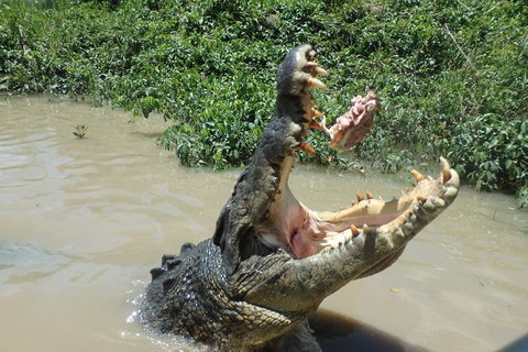 Litchfield And Jumping Crocodiles Full Day Trip From Darwin - Maitland Accommodation 18
