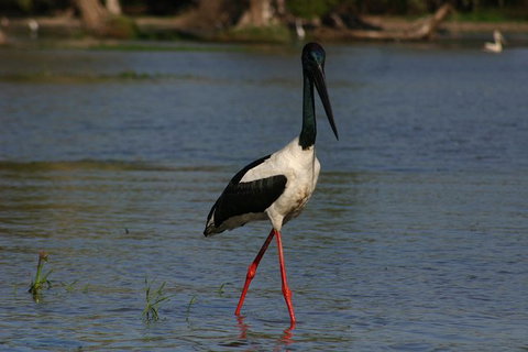 Litchfield And Jumping Crocodiles Full Day Trip From Darwin - Maitland Accommodation 13