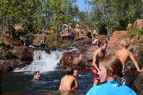 Litchfield And Jumping Crocodiles Full Day Trip From Darwin - Maitland Accommodation 10