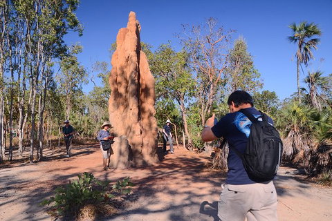 Litchfield And Jumping Crocodiles Full Day Trip From Darwin - Maitland Accommodation 16