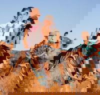 Alice Springs Camel Tour - Maitland Accommodation