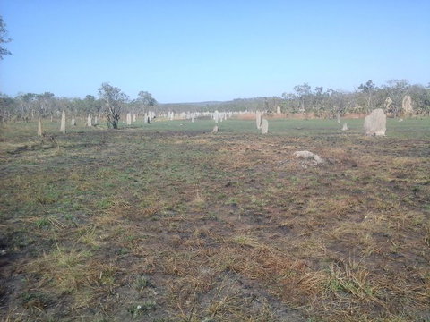 Litchfield National Park Day Tour From Darwin - Maitland Accommodation 13