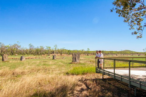 Litchfield National Park Day Tour From Darwin - Maitland Accommodation 18