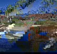 Palm Valley 4WD Tour - Maitland Accommodation