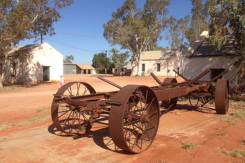 Palm Valley 4WD Tour - Maitland Accommodation 1