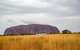 Alice Springs To Uluru (Ayers Rock) One Way Shuttle - thumb 3