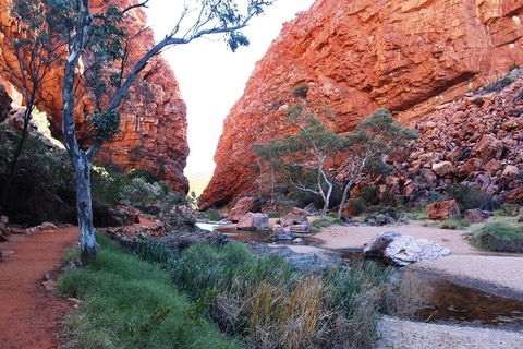 Half Day MacDonnell Ranges Small Group - Private Guided Tour - Maitland Accommodation 0
