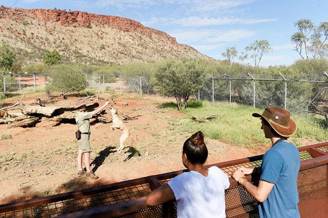 Alice Springs Desert Park General Entry Ticket - Maitland Accommodation 9