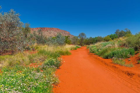 Alice Springs Desert Park General Entry Ticket - Maitland Accommodation 7