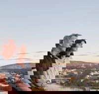 Alice Springs Highlights Half-Day Tour - Maitland Accommodation