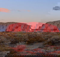 3-Day Uluru Camping Tour from Alice Springs Including Kata Tjuta and Kings Canyon - Maitland Accommodation