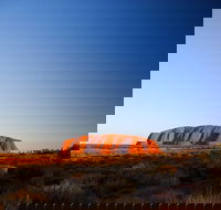 One-Way Transfer from Alice Springs to Yulara - Maitland Accommodation