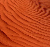 Overnight Uluru Adventure Safari - Maitland Accommodation