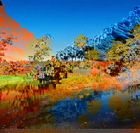 Palm Valley 4WD Day Tour - Maitland Accommodation