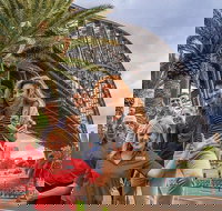 Australia Sightseeing Pass - Maitland Accommodation