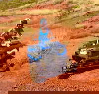 Aussie Outback Air and Land Tour Including Quad Bike Ride - Maitland Accommodation