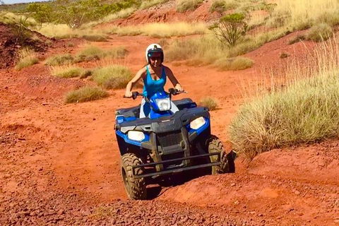 Aussie Outback Air And Land Tour Including Quad Bike Ride - Maitland Accommodation 0